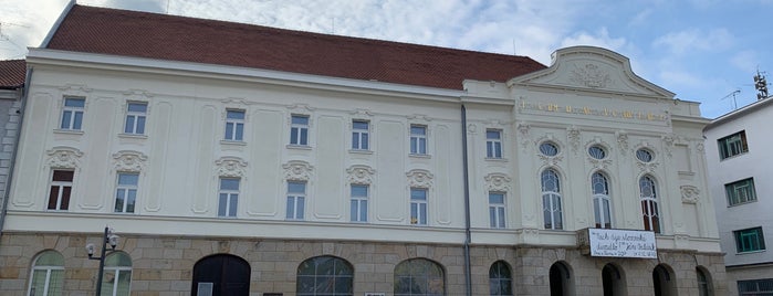 Divadlo Jána Palárika is one of Places in Trnava.