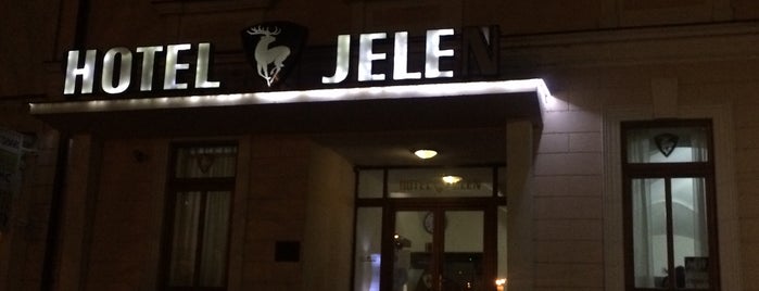 Hotel Jelen is one of Hometown.