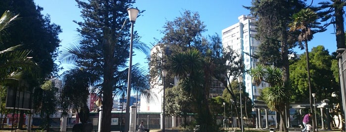 La Circasiana is one of Sitios de Quito.