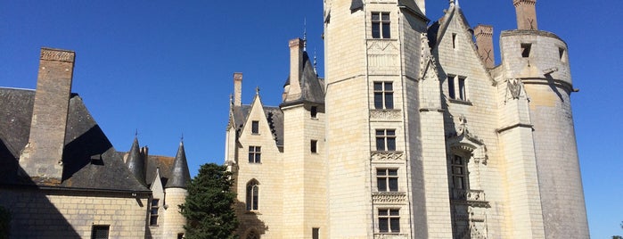 Château de Montreuil-Bellay is one of Tempat yang Disukai Eric T.