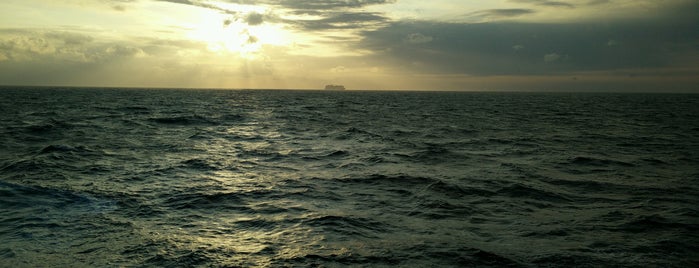 RCCL Freedom of the Seas is one of Tyra : понравившиеся места.