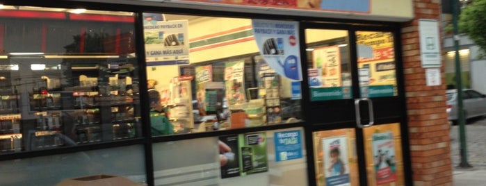 7- Eleven is one of Lugares favoritos de Ivette.