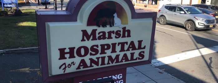 Marsh Animal hospital is one of GENERATION PETS: Colleagues & Contacts.