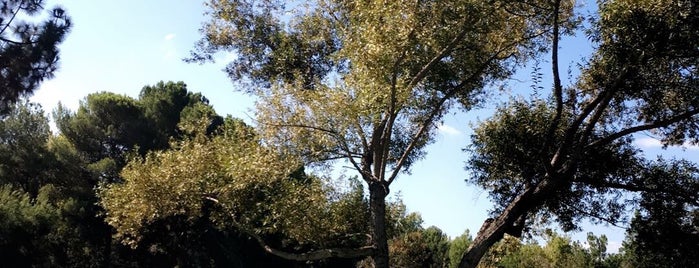 Santa Ana River Trail - Weir Canyon is one of My to do list.