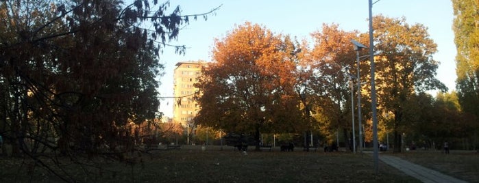 Парк Хиподрума is one of Orte, die Yoana gefallen.