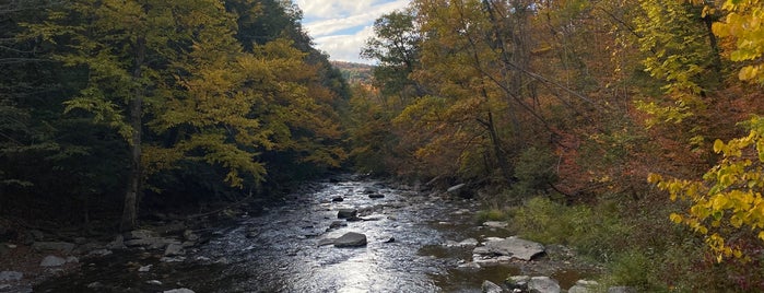 Chittenango Falls State Park is one of New York State Parks.