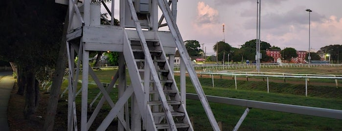 The Garrison Savannah is one of Wonders of Barbados.