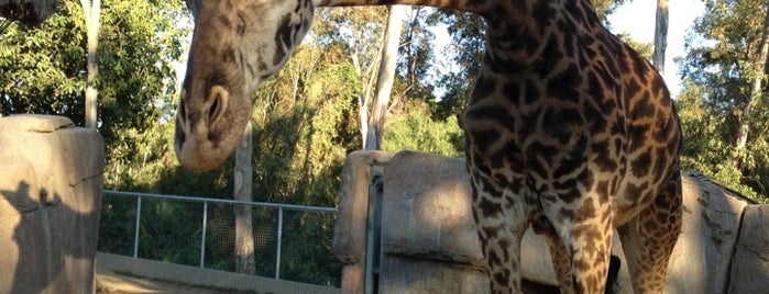 San Diego Zoo is one of San Diego, CA.