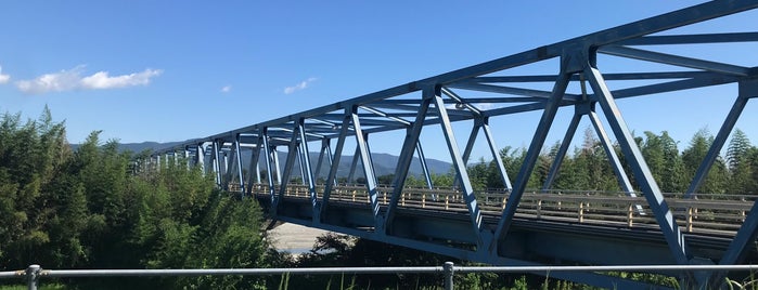 阿波麻植大橋 is one of 吉野川に架かる橋.
