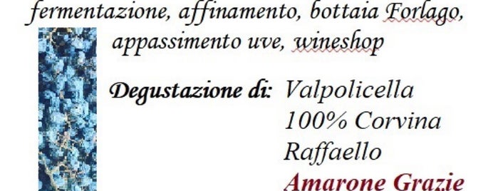 Fratelli Vogadori - Amarone Valpolicella Family Winery is one of Lago di Garda & Trento.