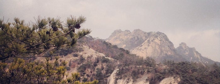 Jokduribong is one of Tempat yang Disukai Kaeinux.