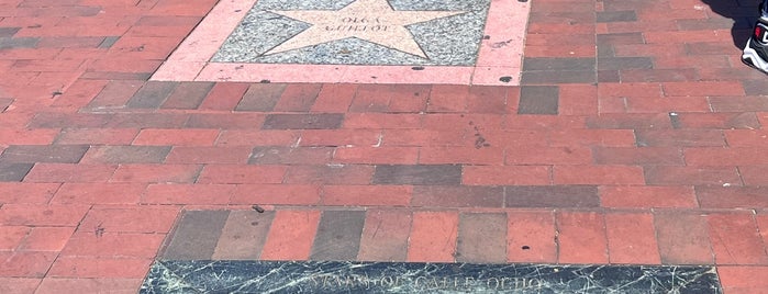 Calle Ocho Walk of Fame is one of Miami.