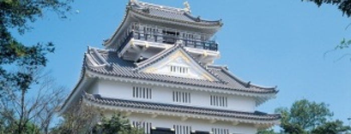 Gifu Castle is one of 日本100名城.