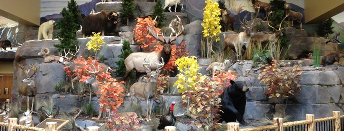 Cabela's is one of Best of Grand Rapids.