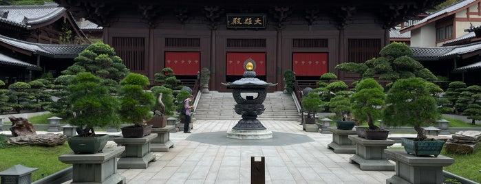 Chi Lin Nunnery is one of HK.