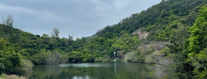 Sham Tseng Settlement Basin is one of 香港水塘.