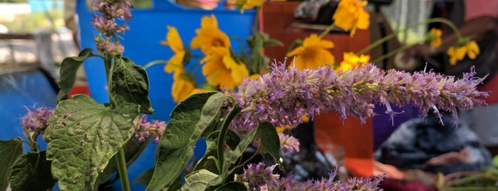 Governors Island Urban Farm is one of Kimmie's Saved Places.