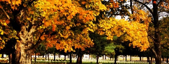 Stones River National Cemetery is one of United States National Cemeteries.