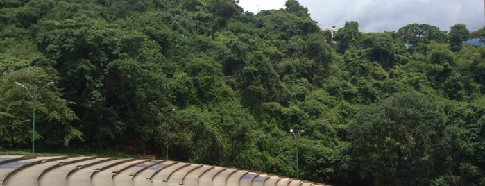 Áreas verdes en Caracas