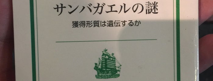 ブーザンゴ is one of Noさんの保存済みスポット.