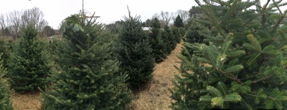 Schmidts Tree Farm is one of N. Delaware Farms.