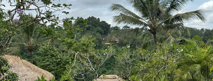Ubud Hanging Garden is one of Southeast Asia.