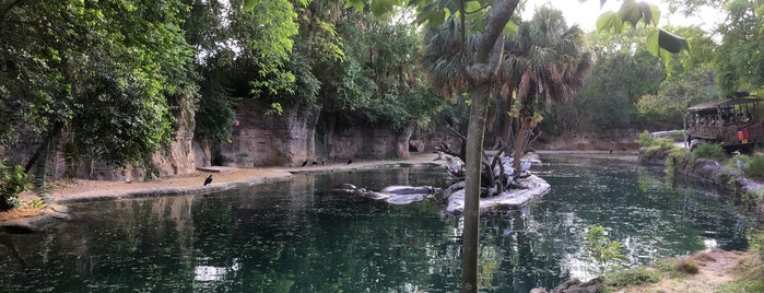 Kilimanjaro Safaris is one of Jenna’s Liked Places.
