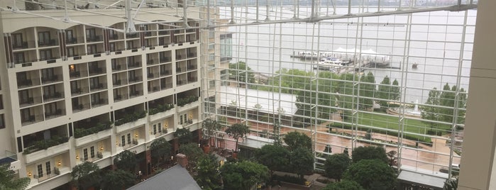 Gaylord National Resort & Convention Center is one of Didi’s Liked Places.
