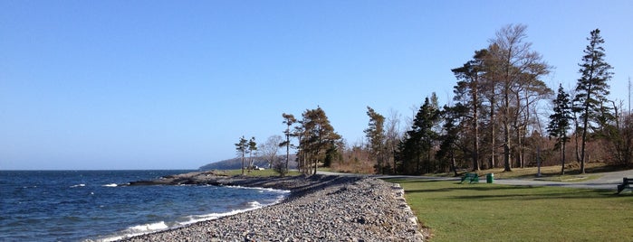 Point Pleasant Park is one of Sightseeing.