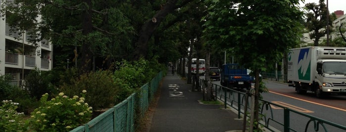 大蔵の坂 is one of 東京坂 ～世田谷・目黒区～.