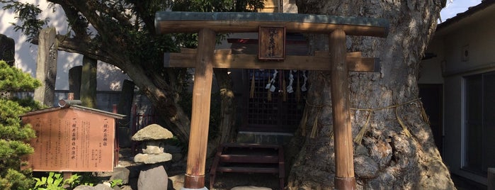 槻井泉神社 is one of 松本の湧水.