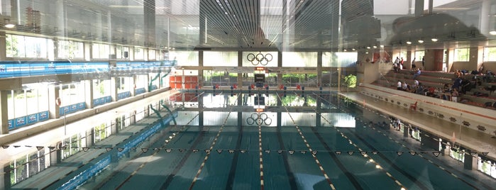 Piscina Olimpica Como is one of Schwimmbad.