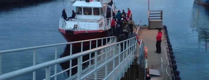 Viðey ferry is one of rokk í reykjavík og ísland!.