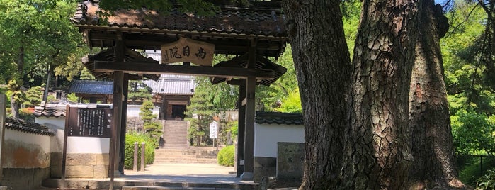 高月院 is one of 神社仏閣.