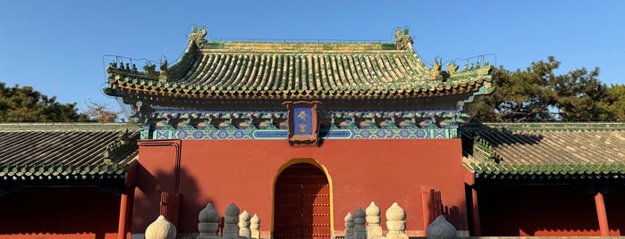 Fasting Palace is one of Liftildapeak 님이 좋아한 장소.