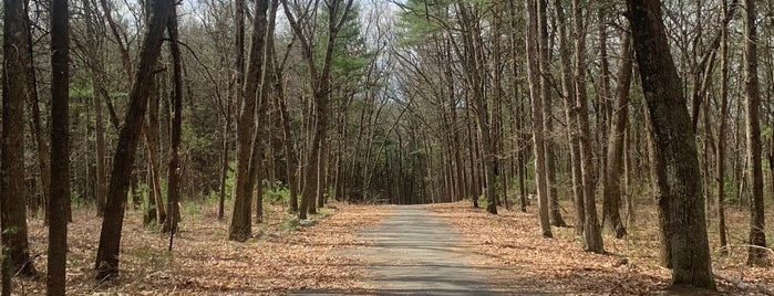 Lowell Dracut Tyngsboro State Forest is one of Around Lowell.