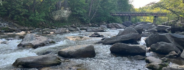 Rocky Broad River is one of NORTH CACKALACKA.