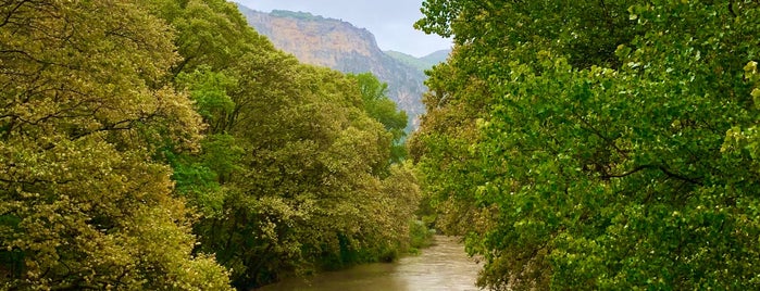 Pineios is one of Βέροια_Νάουσα_Έδεσσα_Καστοριά_Βεργίνα.