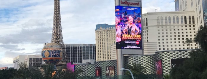 Stella McCartney is one of Vegas Shopping.