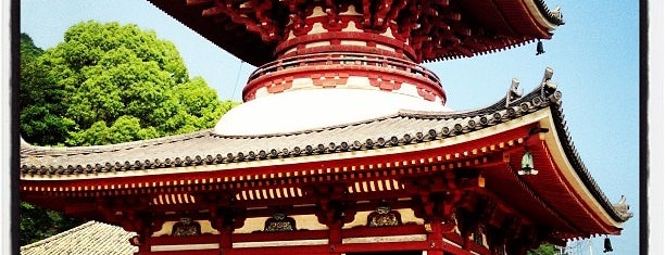 多宝塔 / Two Storied Pagoda in Japan