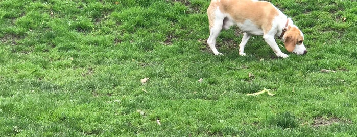 Hondenuitloopweide is one of Doggy Playtime.
