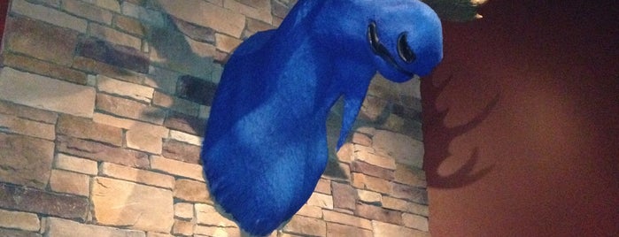 Blue Moose is one of Restaurant.