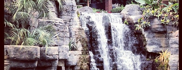 Gaylord Opryland Resort & Convention Center is one of Nashville.