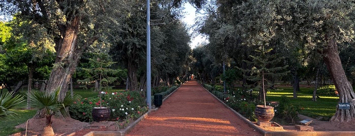 Cyberpark is one of A mix of Marrakech.