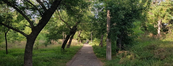 Савицкий парк (Ленинского комсомола) is one of Одесса.
