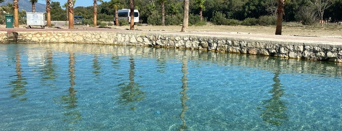 Burguç Şifalı Su Kaynağı is one of ALANYA TURU.