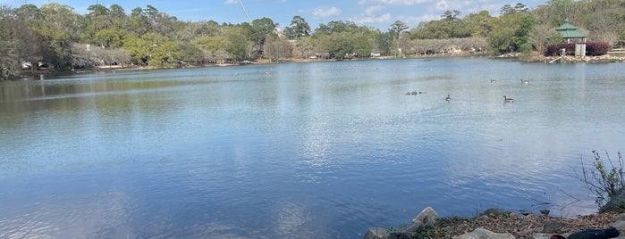 Lake Ella is one of Get out and enjoy the fresh air in Tallahassee.