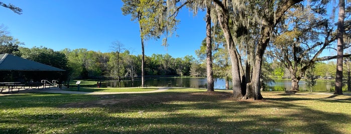 Tom Brown Park is one of Get out and enjoy the fresh air in Tallahassee.