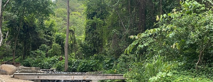 Tha Pai Hot Spring is one of Hot Spring Baths of Thailand.