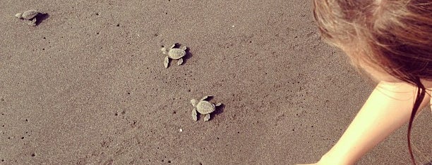 Tortugario de Cuyutlán is one of Posti che sono piaciuti a Dan.